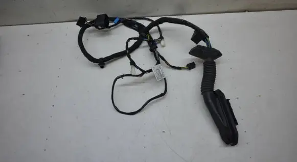 BMW X1 E84 Front door wiring loom 9247080