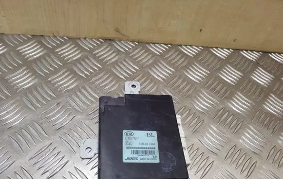 KIA Sorento Other control units/modules 954003E310