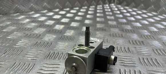 Tesla Model 3 Air conditioning (A/C) expansion valve 110187800A