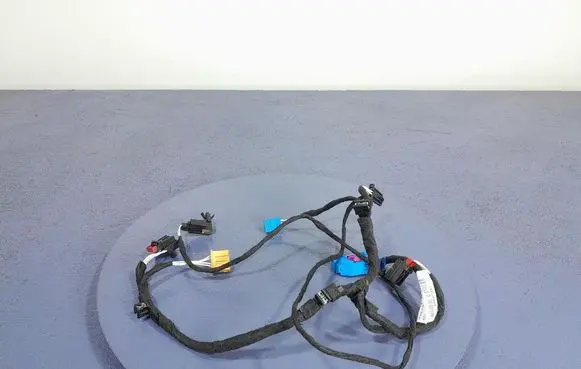 Other wiring loom
