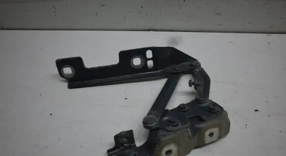 Opel Astra J Engine bonnet/hood hinges 20879203