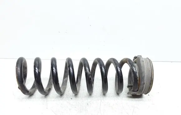 Rear coil spring