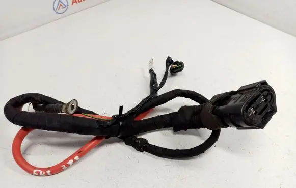 BMW X1 F48 F49 Other wiring loom 61139338239