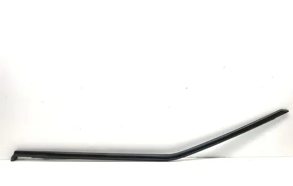 Volvo XC40 Rear door glass trim molding 31864029