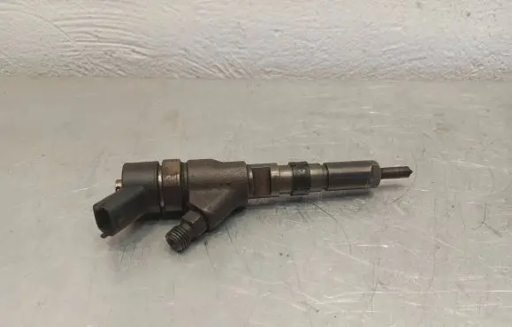 Citroen C5 Fuel injector 9641742880 0445110076