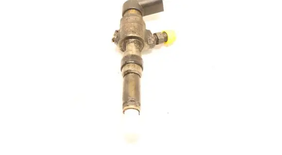 Citroen C3 Fuel injector