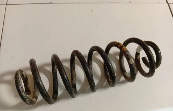 Volkswagen PASSAT B6 Rear coil spring 