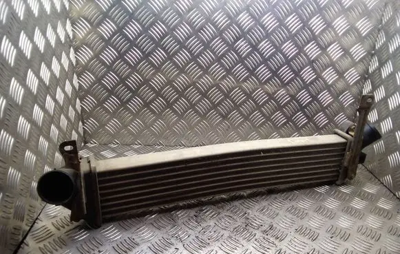 Renault Kangoo I Intercooler radiator 8200732390C