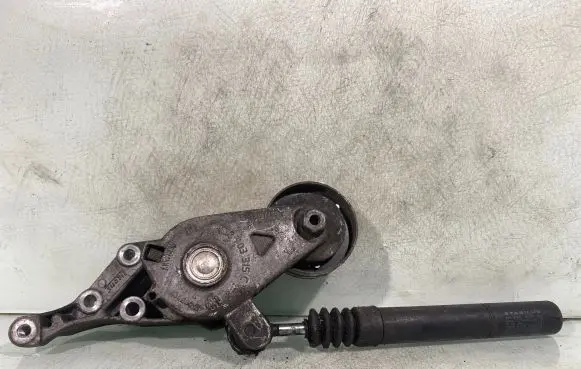 Skoda Octavia Mk2 (1Z) Generator/alternator belt tensioner 038903315c