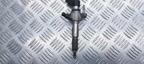 Peugeot 5008 Fuel injector 9802448680