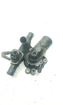 Thermostat/thermostat housing