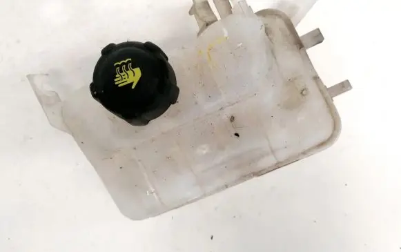 Renault Scenic III - Grand scenic III Coolant expansion tank/reservoir 217100005r