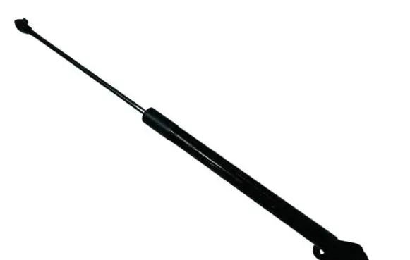 Tailgate strut