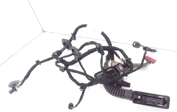 Front door wiring loom