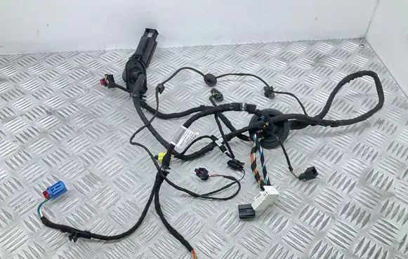 Audi A7 S7 4K8 Front door wiring loom 4K8971029BG