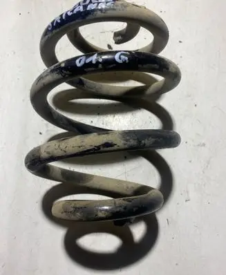 Rear coil spring