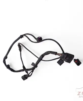 Other wiring loom