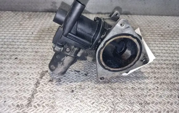 Volkswagen Transporter - Caravelle T5 EGR valve D502070000