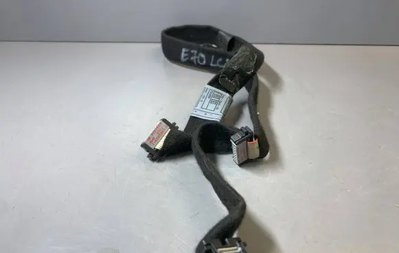 BMW X5 E70 Other wiring loom 6950093 EGU45W