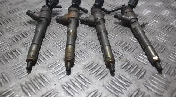 Dacia Dokker Fuel injector 0445110485