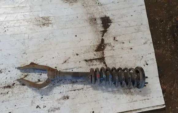 Honda Accord Front shock absorber with coil spring NOCODE