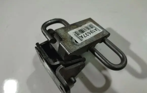 Rear door lower hinge
