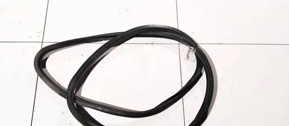 Skoda Octavia Mk2 (1Z) Rubber seal front coupe door 1z0867365d