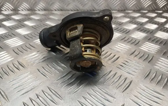 Thermostat/thermostat housing