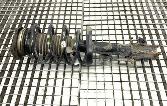 Fiat Doblo Front shock absorber/damper