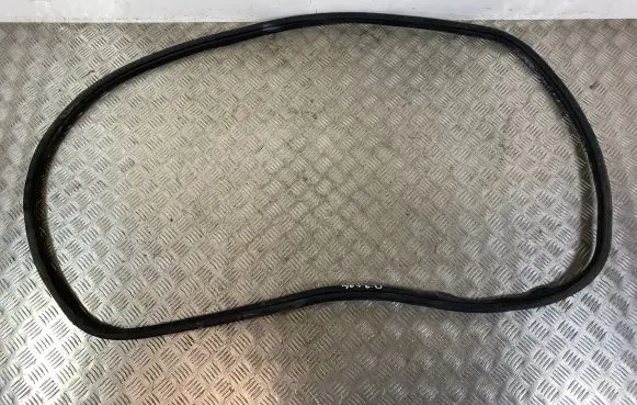 Dodge Durango Rear door rubber seal (on body) 