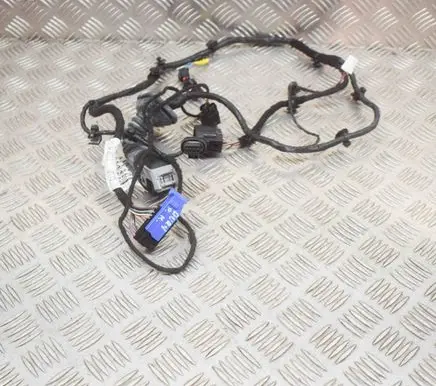 Maserati Quattroporte Front door wiring loom 06700093520