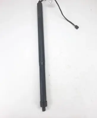 Tailgate strut