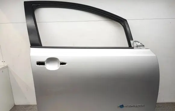 Nissan Leaf I (ZE0) Front door