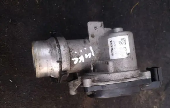 Nissan Juke I F15 Throttle valve 8200614985