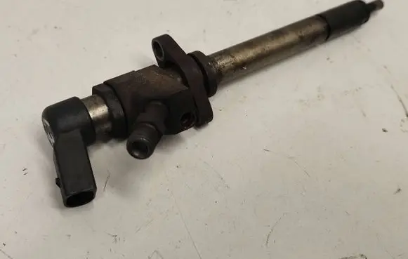 Citroen C5 Fuel injector 030009