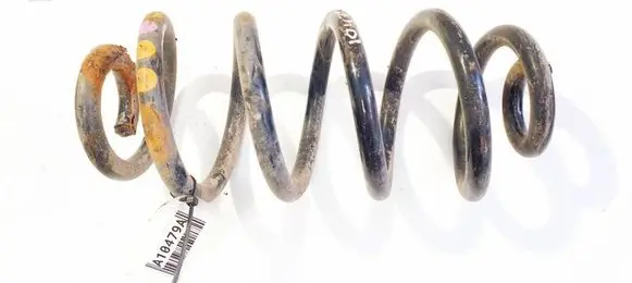 Rear coil spring