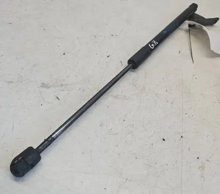 Tailgate/trunk strut/damper