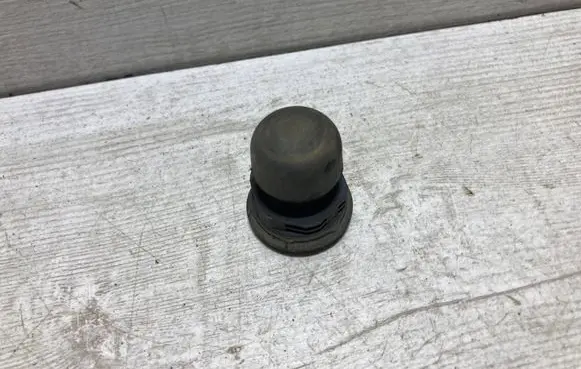 Ford Focus Tailgate check strap stopper 