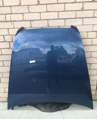 Engine bonnet/hood