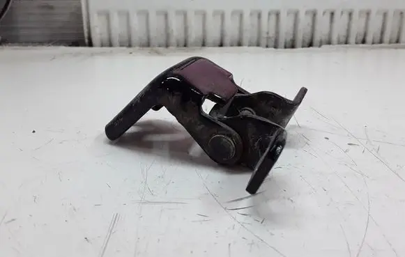 Ford Maverick Rear door lower hinge