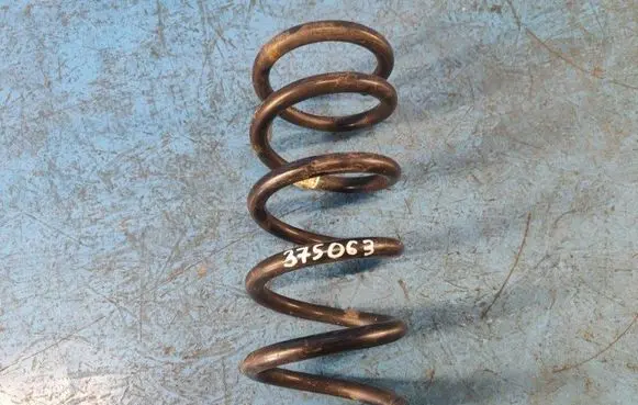 Ford Fusion II Rear coil spring DG9C5560PNE