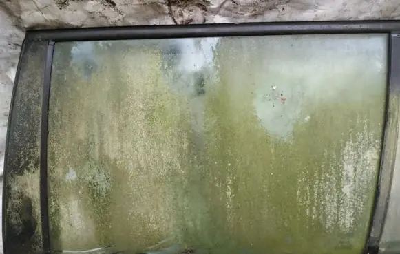 Fiat Marea Rear door window glass