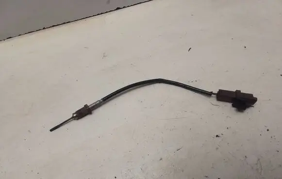 Exhaust gas temperature sensor