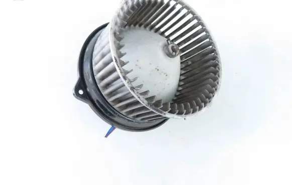 Heater fan/blower