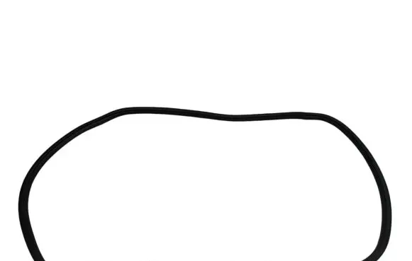 Dodge Durango Front door rubber seal
