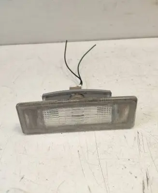 Number plate light