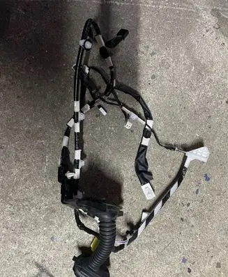 Toyota C-HR I Front door wiring loom