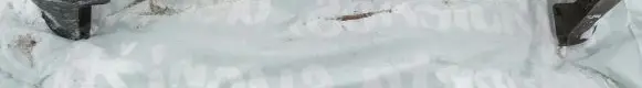 Front bumper lip