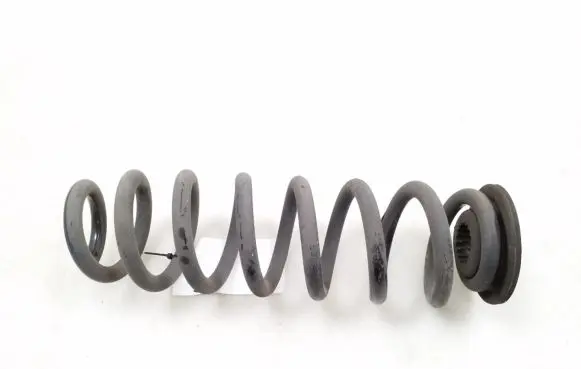 Rear coil spring