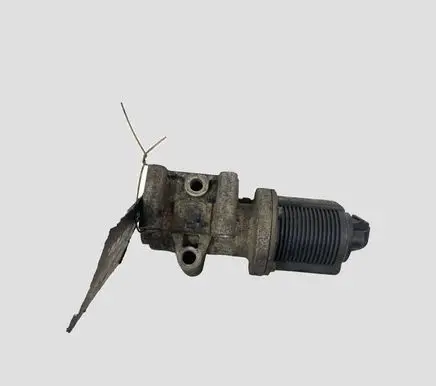 Opel Vectra C EGR valve 55215031